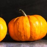 Monthly Wrap-Up October '25