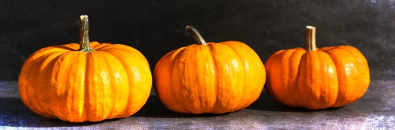 three small pumpkins on a dark background
